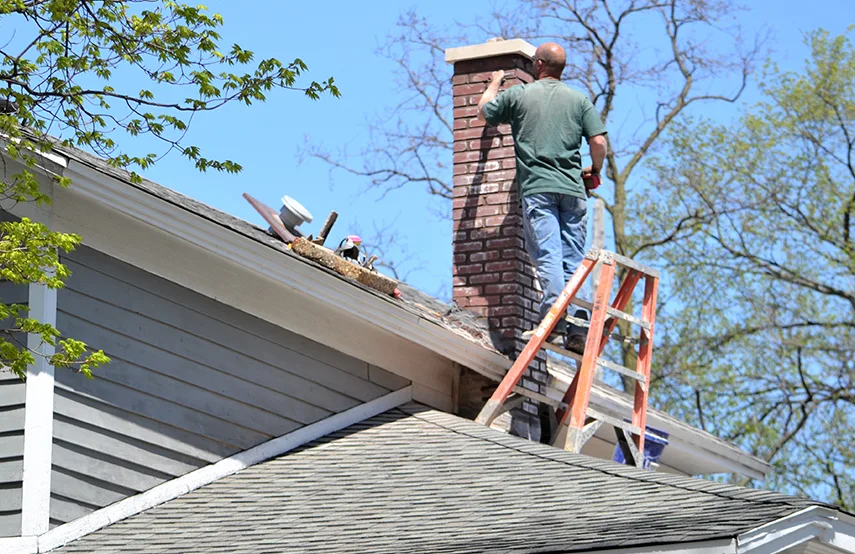 Chimney & Fireplace Inspections Services in Muscatine, IA